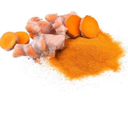 Turmeric Extract