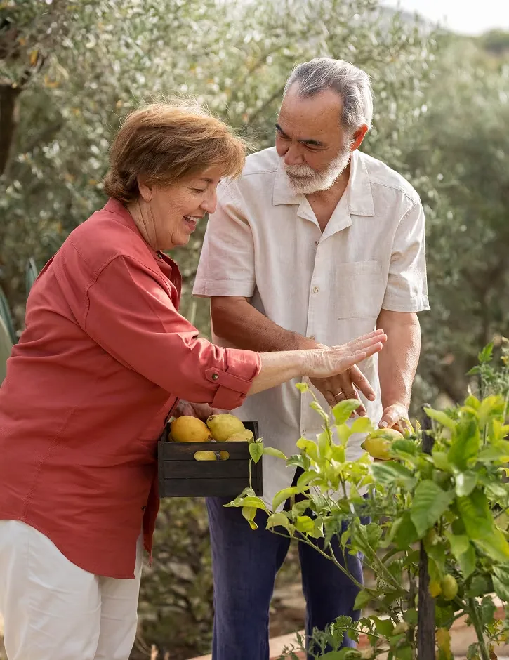 Nervixol Nerve Health Formula